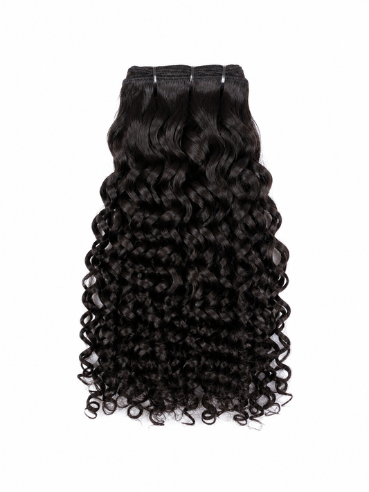 Raw Indonesian Burmese Curly